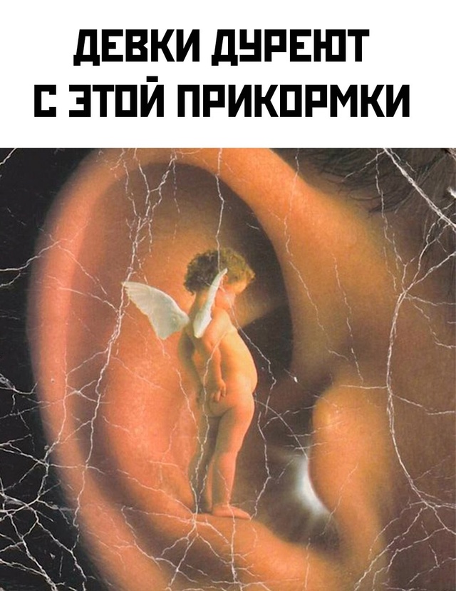 Весёлый полтишок 31.12.24
