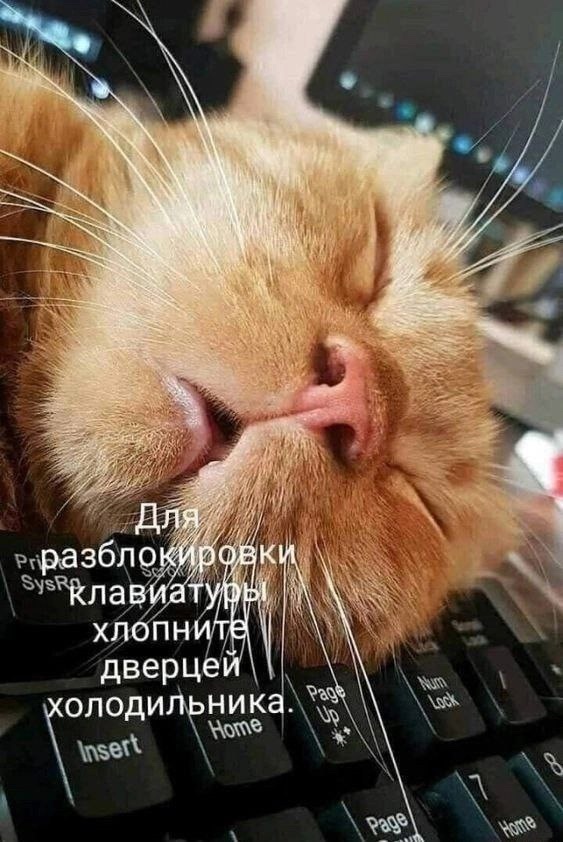 Так себе картинки 31.01.25