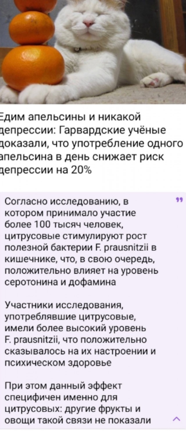 Так себе картинки 26.02.25