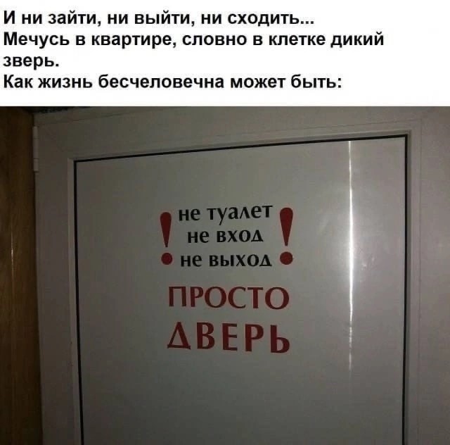 Так себе картинки 28.03.25