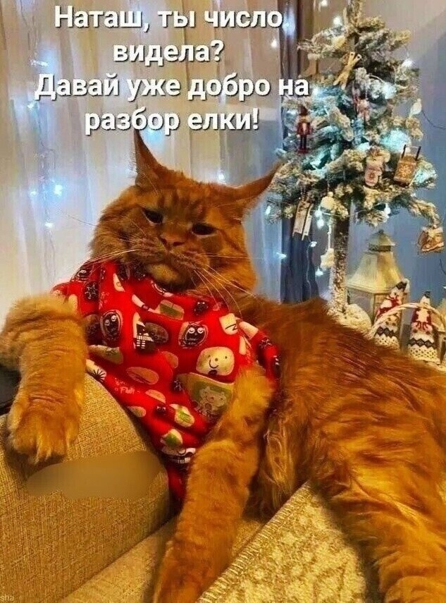 Вторника картинки