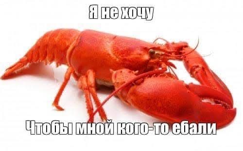 Картинки для деградации 149 (разной степени свежести)