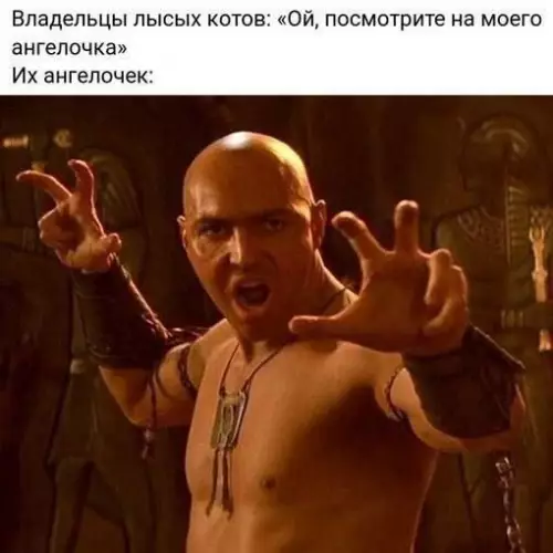 Картиночки, баянчики 13 марта