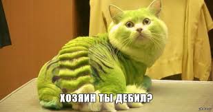 Давай, придурок, 7мую врубай