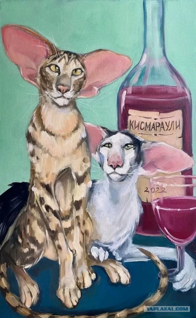 Ориентальный кот