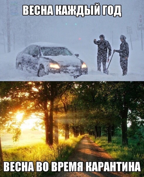 Весна ПРИШЛА!