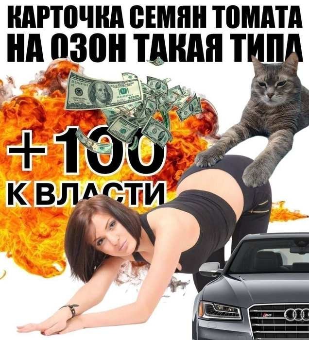 Картинки для деградации 289 (разной степени свежести)