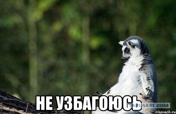 Откуда взялся узбагойся