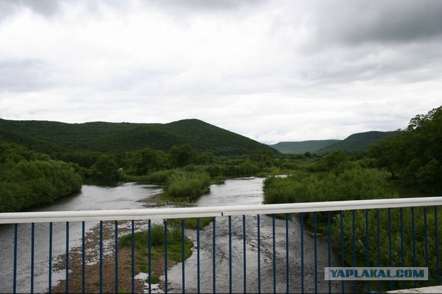 Природа Приморского края