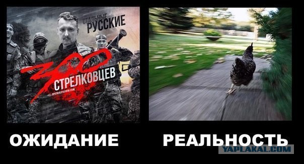 Стрелков сообщил ...