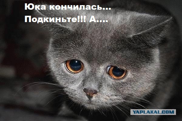 Кому юки отсыпать?