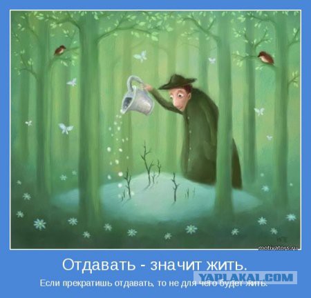 Когда вы плюсуeтe тему в платине