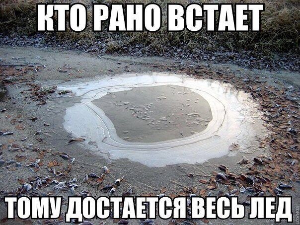 Картинки с инета.