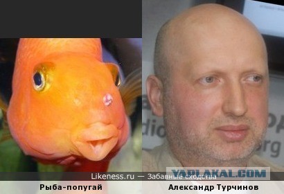 Турчинов призвал украинцев