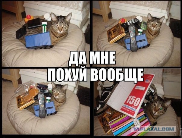 Сегодня я поверил в карму