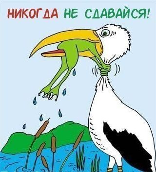 Утренний кофе:  безвыходных ситуаций нет