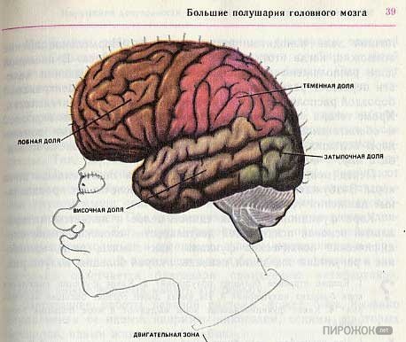 Чем только не занимаются на уроках