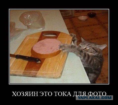 По следам горячих событий