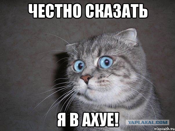 Запрет на деятельность Cargill в России
