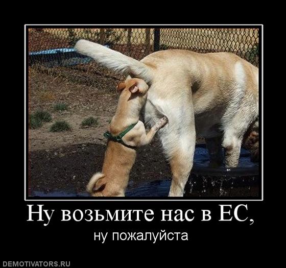 Интервью Порошенко с жесткими вопросам Дойче Велле