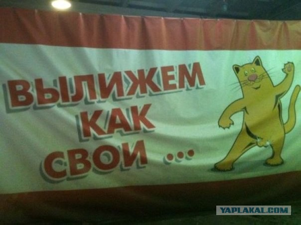Смешные комментарии из соцсетей