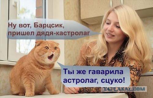 Тормози! Тормози!