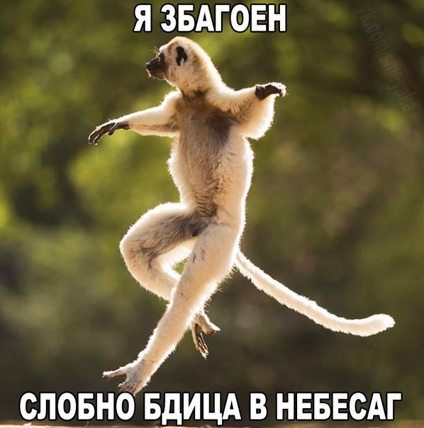 Картинки и демотиваторы