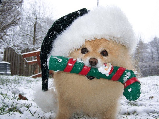 Разные картинки