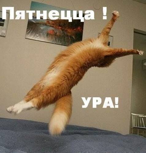 Мохнатые беспредельщики