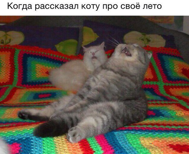 Лёгкой наркомании и тупости пост