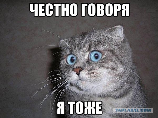Борьба с садовыми мародерами