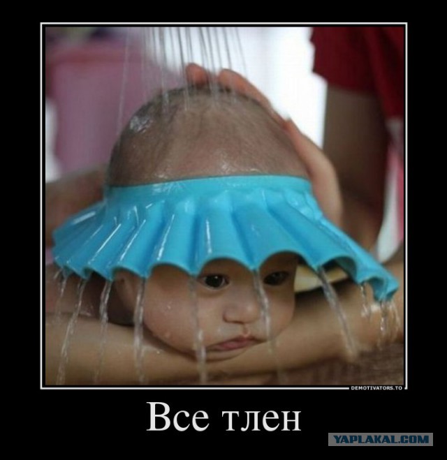 Орден черепахи!
