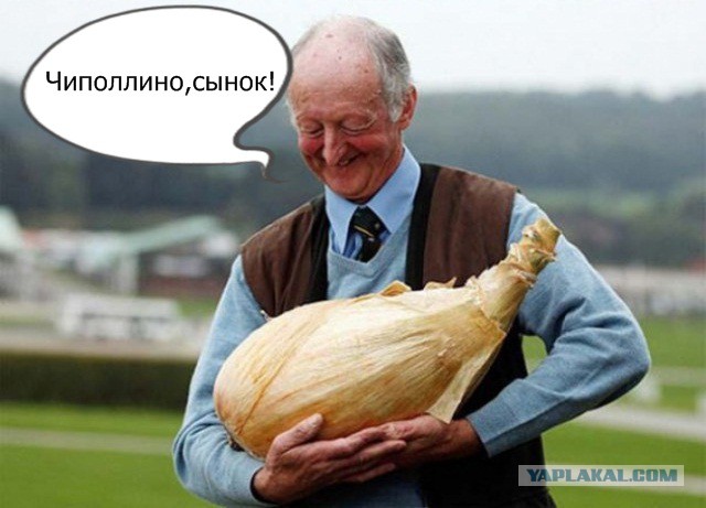 Попробуйте посмотреть этот пост и ни разу не улыбнуться