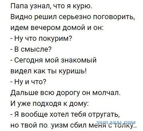 20 Смешных пикч