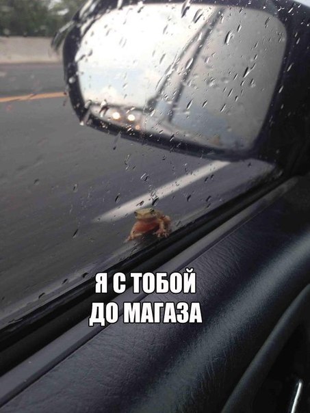 Всякого разного на пятницу!