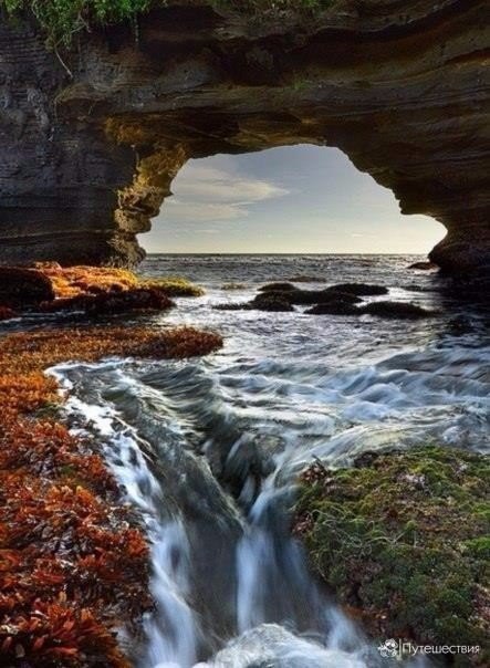 Моменты, запечатлённые на фото и просто позитив 5