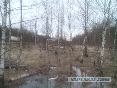 "Трубный запах": миллион дачных домов будут снесены по всей России в угоду газовым монополиям