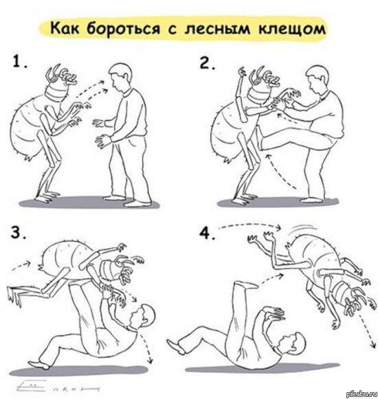 Операция "Клещ"