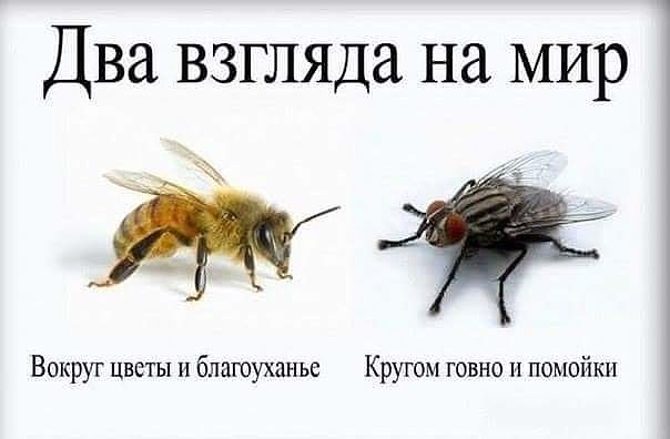 Фильм "Груз 200": актеры и роли