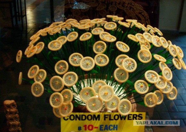 "Чет я очкую, Славик!" (с)