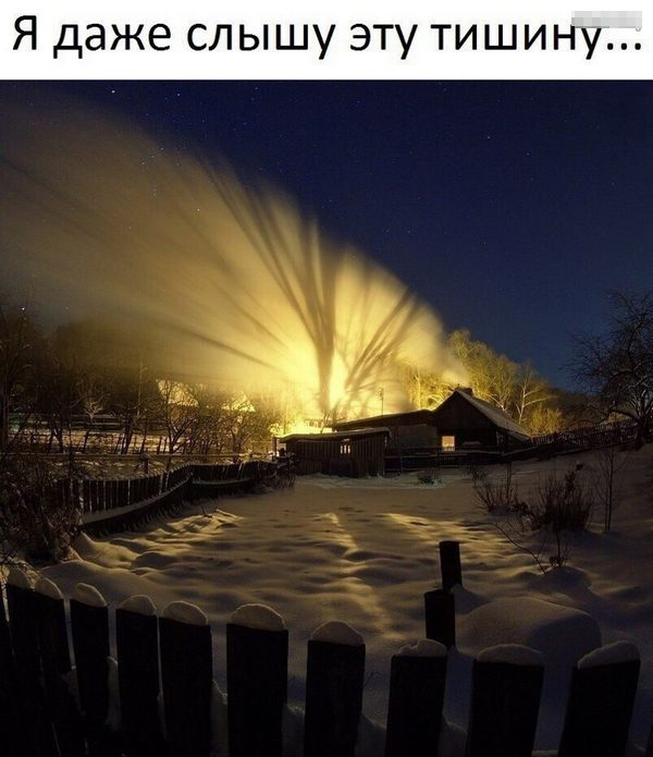 Снимки, вызывающие эмоции