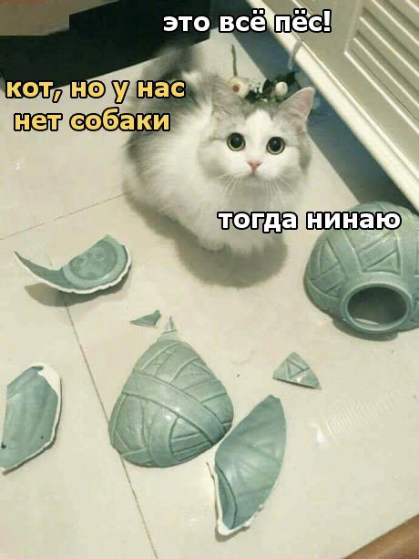 Пятница! Приступим?