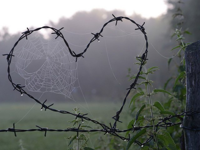 Депрессняк на понедельник