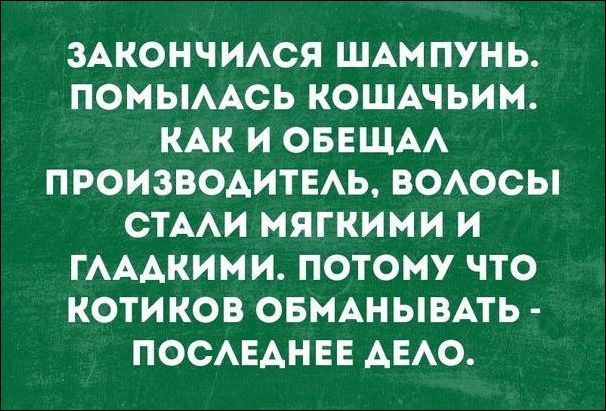 Немного текстовых картинок с неоднозначным содержанием. Часть 3