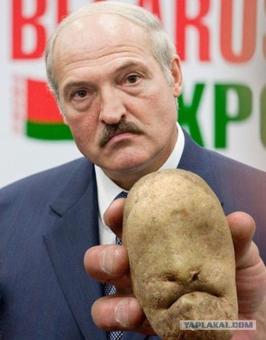 Маски-шоу на Kazanova Party. Спецназ ворвался на вечеринку минского свинг-клуба