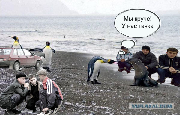 Задушевная беседа...