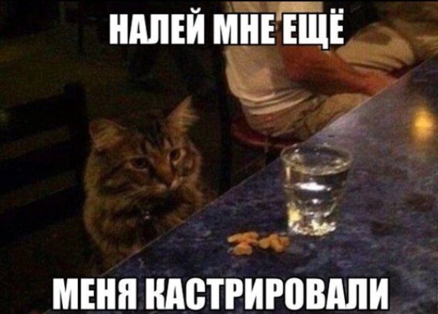 Подборка интересных и веселых картинок