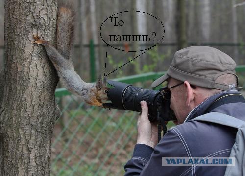 Zoom X