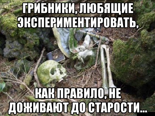 валера лизунов дизайнер. не экспериментируй над любимой. стишки про экспериментирование в детском саду. опыты с воздухом для детей. наши ведущие специалисты.