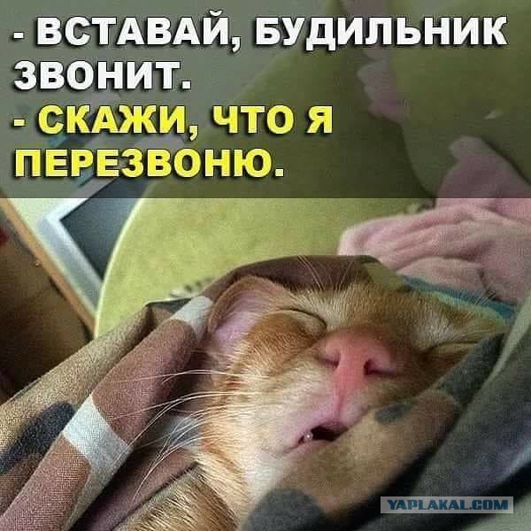 Картинки юморные и тексты 10.10